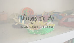 Read more about the article 10 Fun Activities to Do with Teenagers in and Around Paarl, Western Cape
