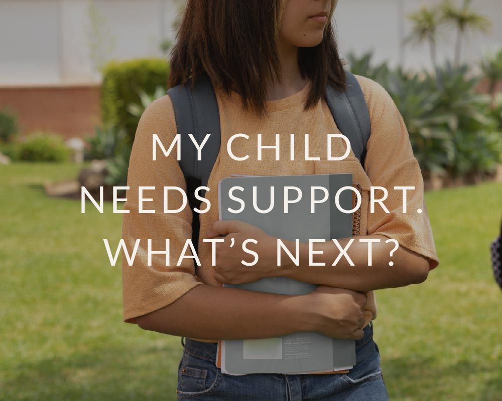Read more about the article My Child Needs Support. What Happens Next?